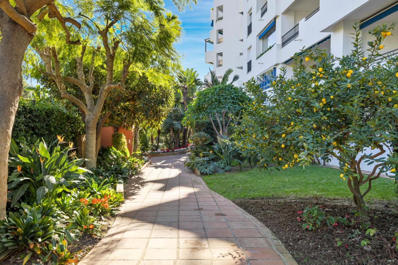 Acogedor Estudio En Medina Garden Ref 122 マルベーリャ エクステリア 写真